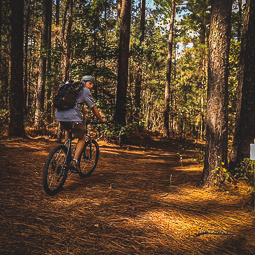 student biking through the forest