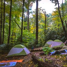Camp ground with tents.