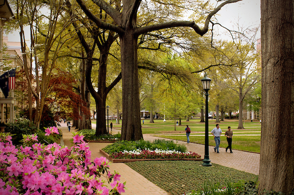 university horseshoe lawn