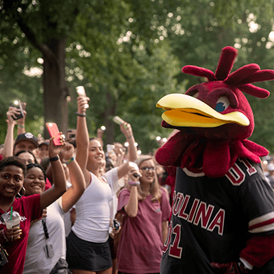 Cocky standing next to a line of cheering students.