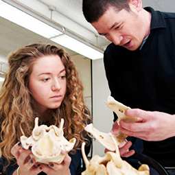 GTA/IA Training GTA/IA Training