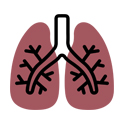 Lungs icon