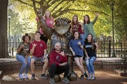 Institutional Effectiveness