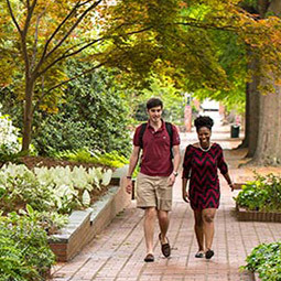 USC Columbia Horseshoe