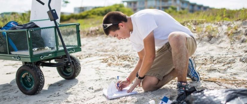 research on the beach