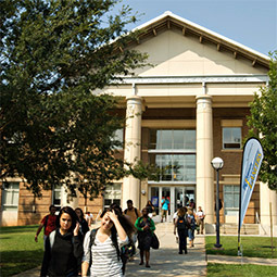 Placeholder Grid Image