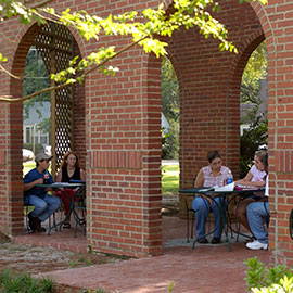 Placeholder Grid Image