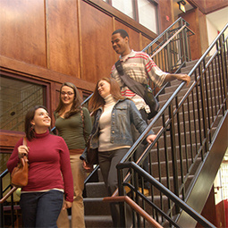 Placeholder Grid Image