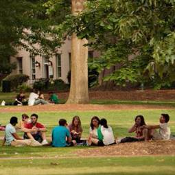Group of about eight students sitting on the grass on the Horseshoe