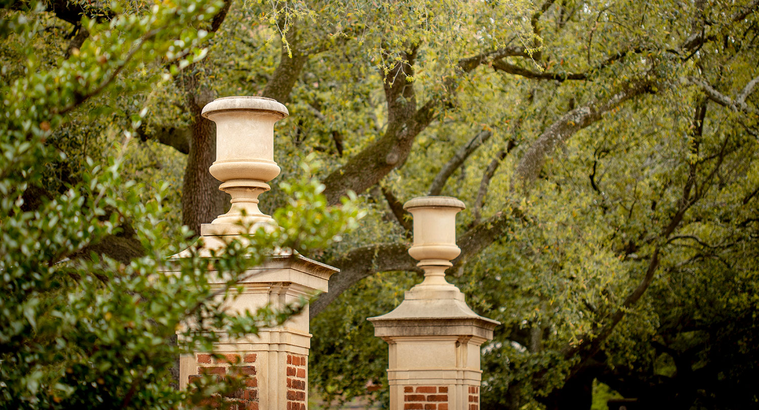 The iconic pillars at the Horseshoe gates surrounded by oak trees.