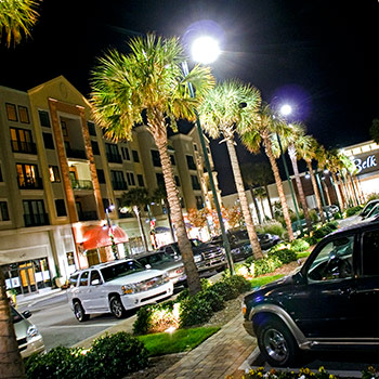 A row of palmetto trees light by street lights in front of a shopping area at night.