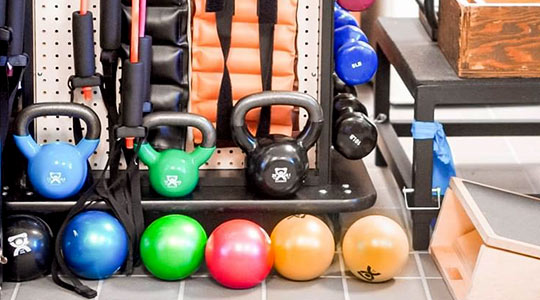 Colorful weights and medicine balls lined up ready for use.
