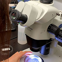 a woman working at a microscope