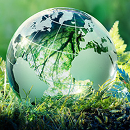 Artsy Icon depicting environmental symbols