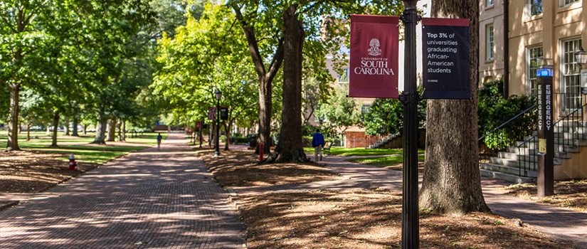 Outside Petigru Cocky Statue