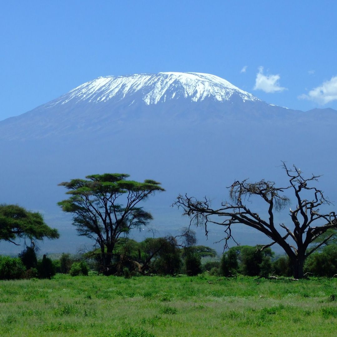 mountain african studies