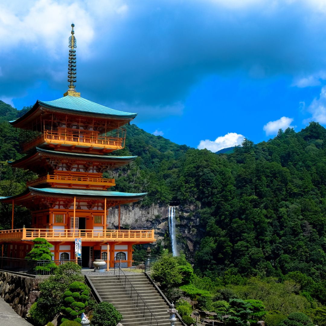 temple asian studies