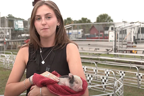 Chloe holding a baby pig
