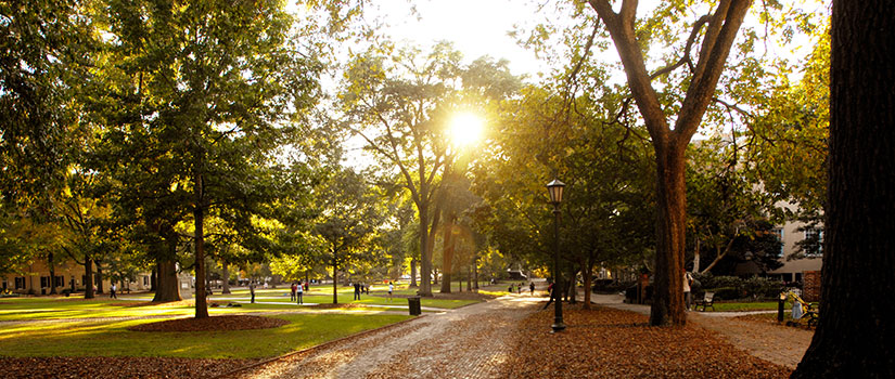 Sunset on the historic Horeshoe