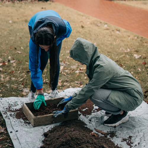 Students sifting through dirt on USC's Horseshoe