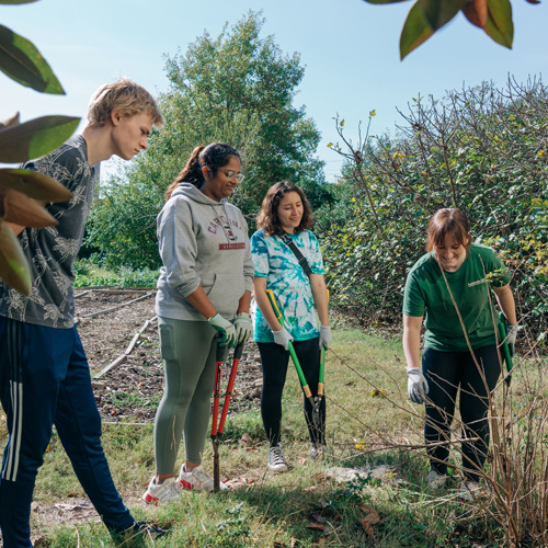 a group of students work