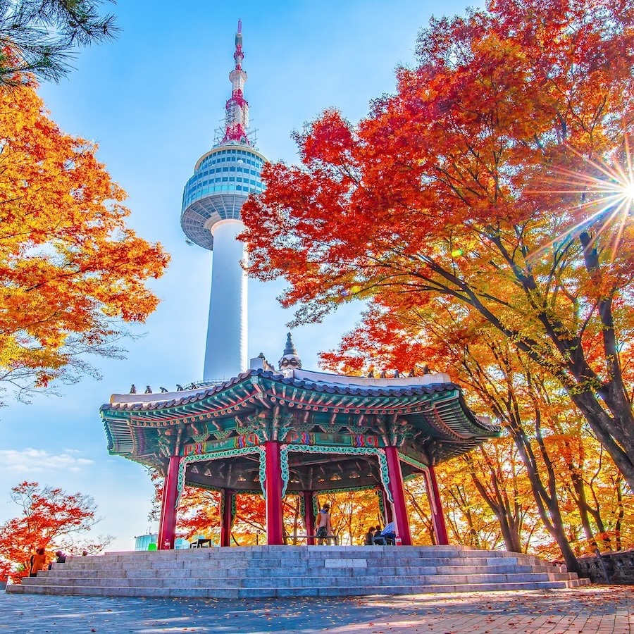 Temple during fall in South Korea