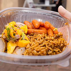 Food plate of rice, carrotts and potatoes