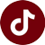TikTok icon