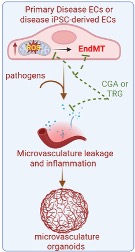 Project Four Diagram