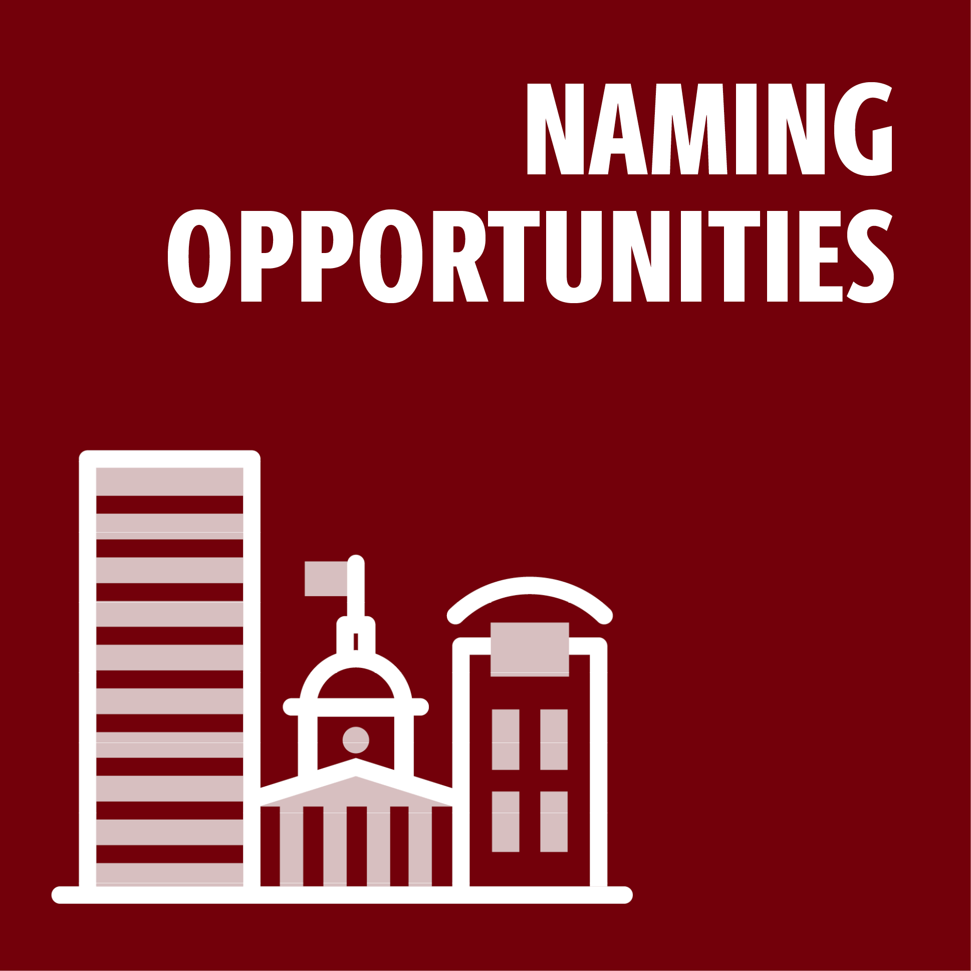 naming opportunities