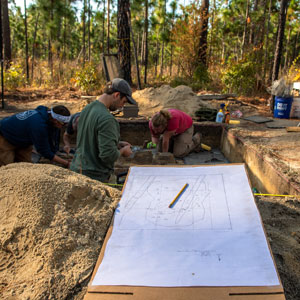 Historic Camden battlefield archaeology site