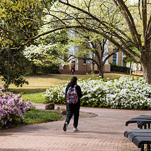 Rear view of a student walking on a path on USC campus