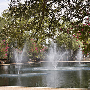 The fountains and reflecting pool in front of Thomas Cooper Library